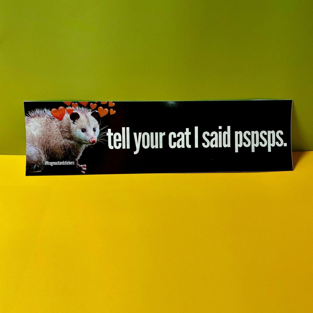 Tell Your Cat I said Pspsps (Possum)